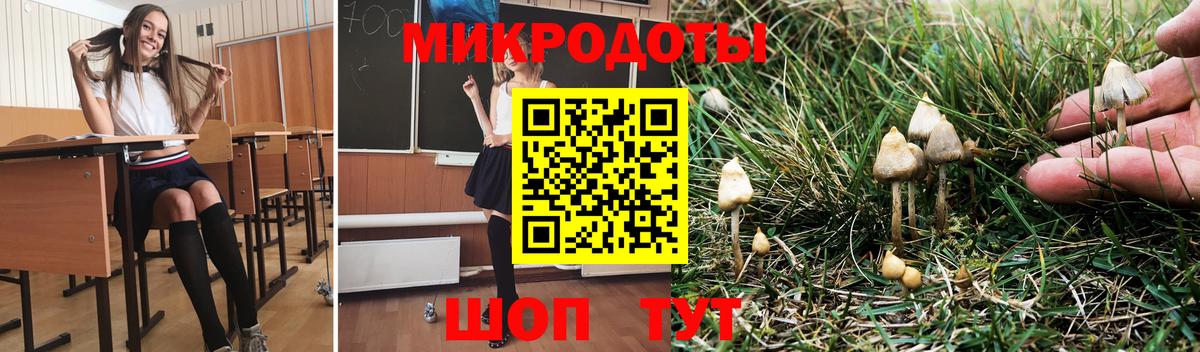 Серпухов  Псилоцибиновые грибы прущие грибы  даркнет сайт  Галлюциногенные грибы прущие грибы  Вход с VPN 
